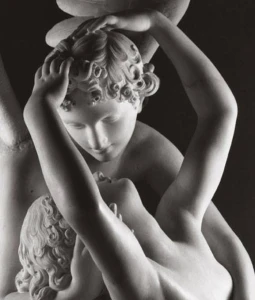 Logo Arte del Restauro di Cucuzza Costanzo