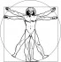Logo Studio Osteopatico di Gianluca Fratini Osteopata