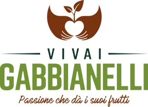 Logo Vivai Gabbianelli