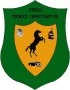 Logo STI di Cavallo Gianluca