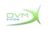 Logo DVM Systems Srl