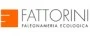 Logo Mobilificio Fattorini Srl
