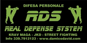 Logo Real Defense System