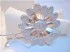 Logo Firenze Bombon Bomboniere