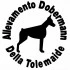 Logo Allevamento Dobermann Della Tolemaide di Giordano Lucia