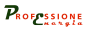 Logo Professione Energia di Angelo Salsano
