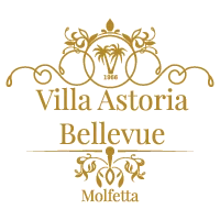 Logo Villa Astoria Bellevue