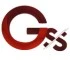 Logo Gestioni Servizi e Sicurezza Srl