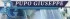 Logo Pupo Ascensori
