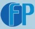 Logo FP S.r.l.