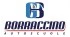 Logo Borraccino Srl
