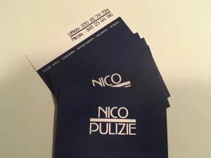 Logo Nico Pulizie 