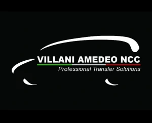 Logo Villani Amedeo