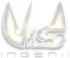 Logo Vis Ingenii