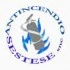 Logo Antincendio Sestese Snc