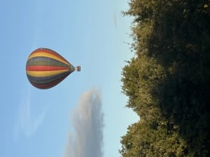 Logo Idea Balloon Srls