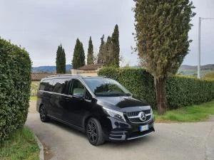 Logo MutoTravel Società Coopertiva 