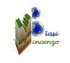 Logo Vincenzo Blasi