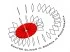 Logo Dott.ssa Sandra Caverni 