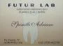 Logo Futurlab di Spinelli Adriano