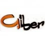 Logo Giber Srl