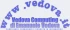 Logo Vedova Computing di Emanuele Vedova