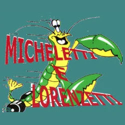 Logo Officina Riparazioni di Micheletti e Lorenzetti Snc