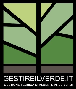 Logo Simone Federico