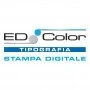 Logo ED. Color