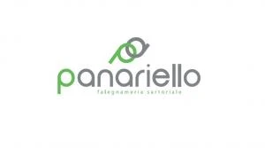 Logo Panariello Produzioni Sas