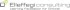 Logo Elleffegi Consulting Srl
