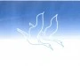 Logo Dott. Francesco Subrani