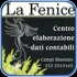 Logo La Fenice Srl