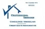 Logo Professional Services