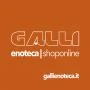 Logo Galli Guido