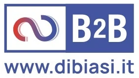 Logo B2B Srls 