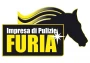 Logo Impresa Furia di Buonaccorsi Mirko