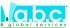 Logo A.B.C. & Global Services