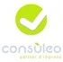 Logo Consuleo Srl