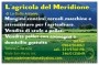 Logo L'Agricola del Meridione