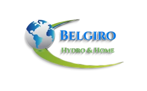 Logo BDM Srls