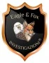 Logo Eagle & Fox Investigazioni di Buonocore Umberto Riccardo Sas