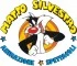 Logo Associazione Culturale Matto Silvestro