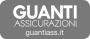 Logo Guanti Nicola 
