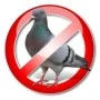 Logo Stop Volatili
