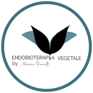 Logo Perinetti Massimo