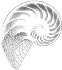Logo Netshell Tecnologie Informatiche