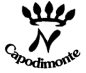 Logo Oro Bianco Creazioni Arena