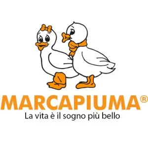 Logo Natale Nardello & Figli Srl