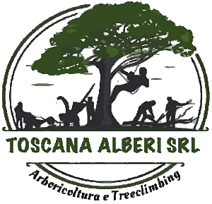 Logo Toscana Alberi Srl   